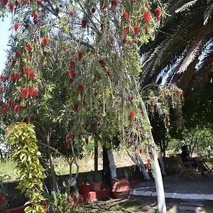https://house-souzanna.hotelschalkidiki.net
